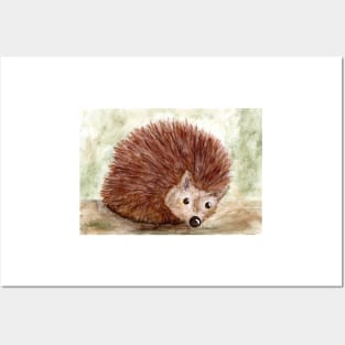 Hedgehog "Schnufflechen" Posters and Art